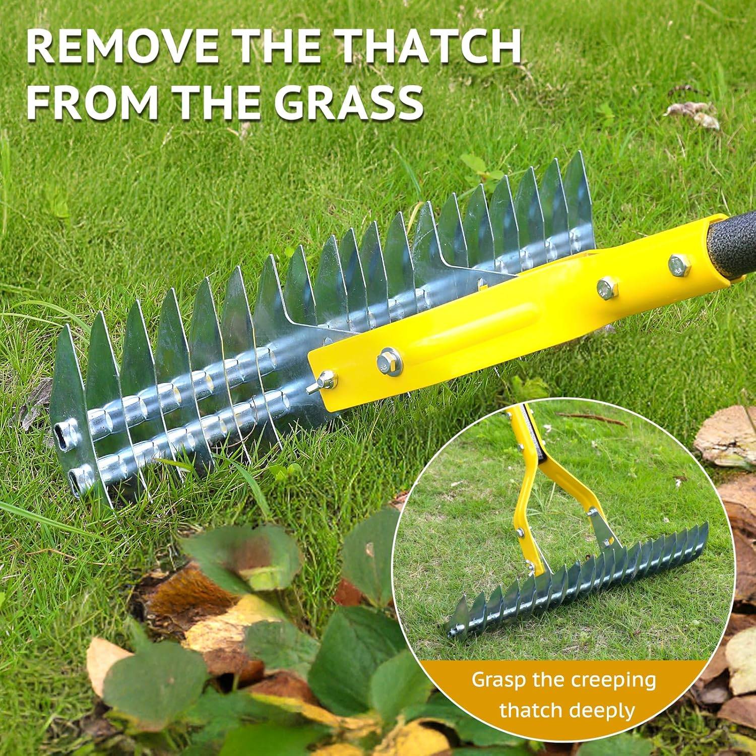 Grass dethatcher rake: image 2