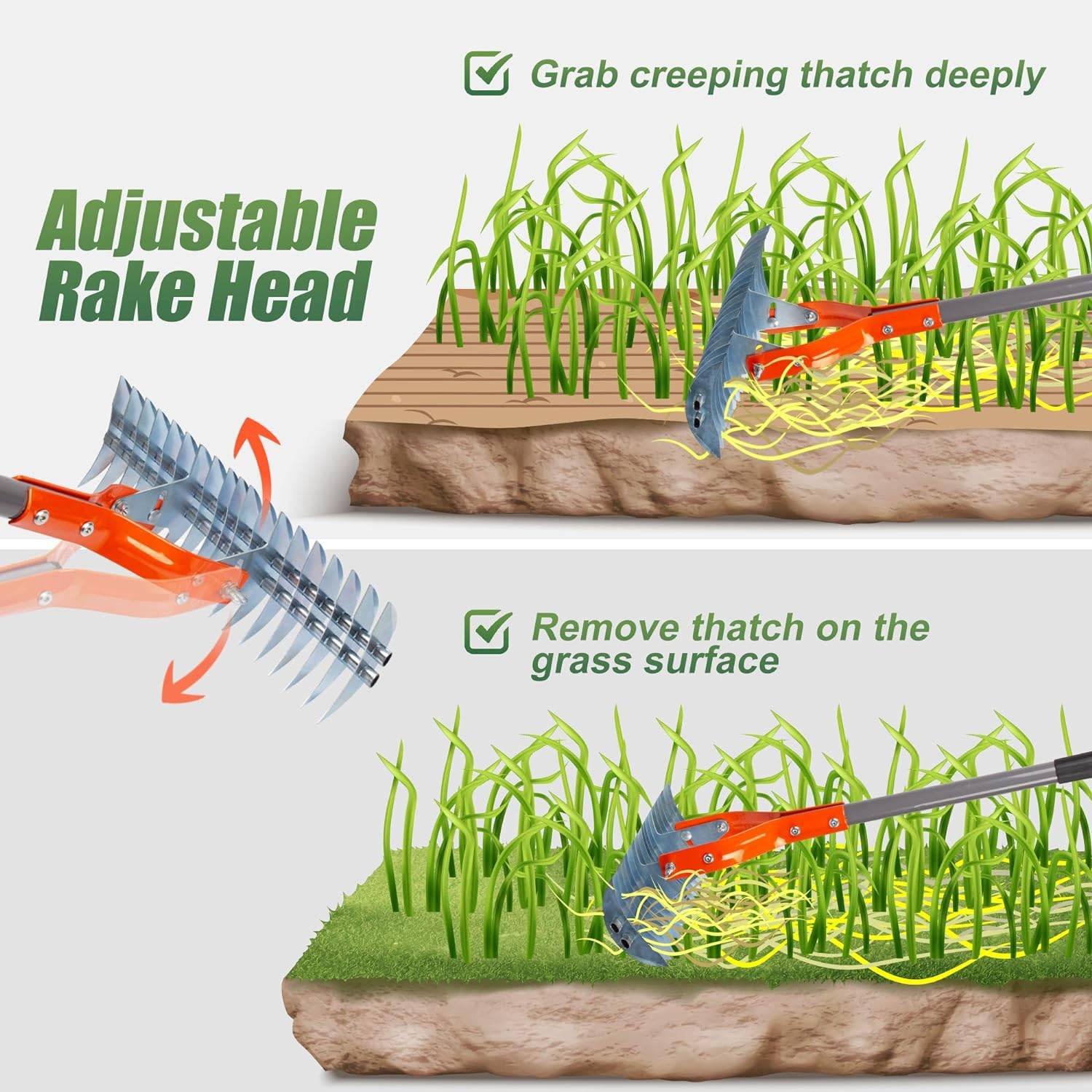 Grass dethatcher rake: image 4