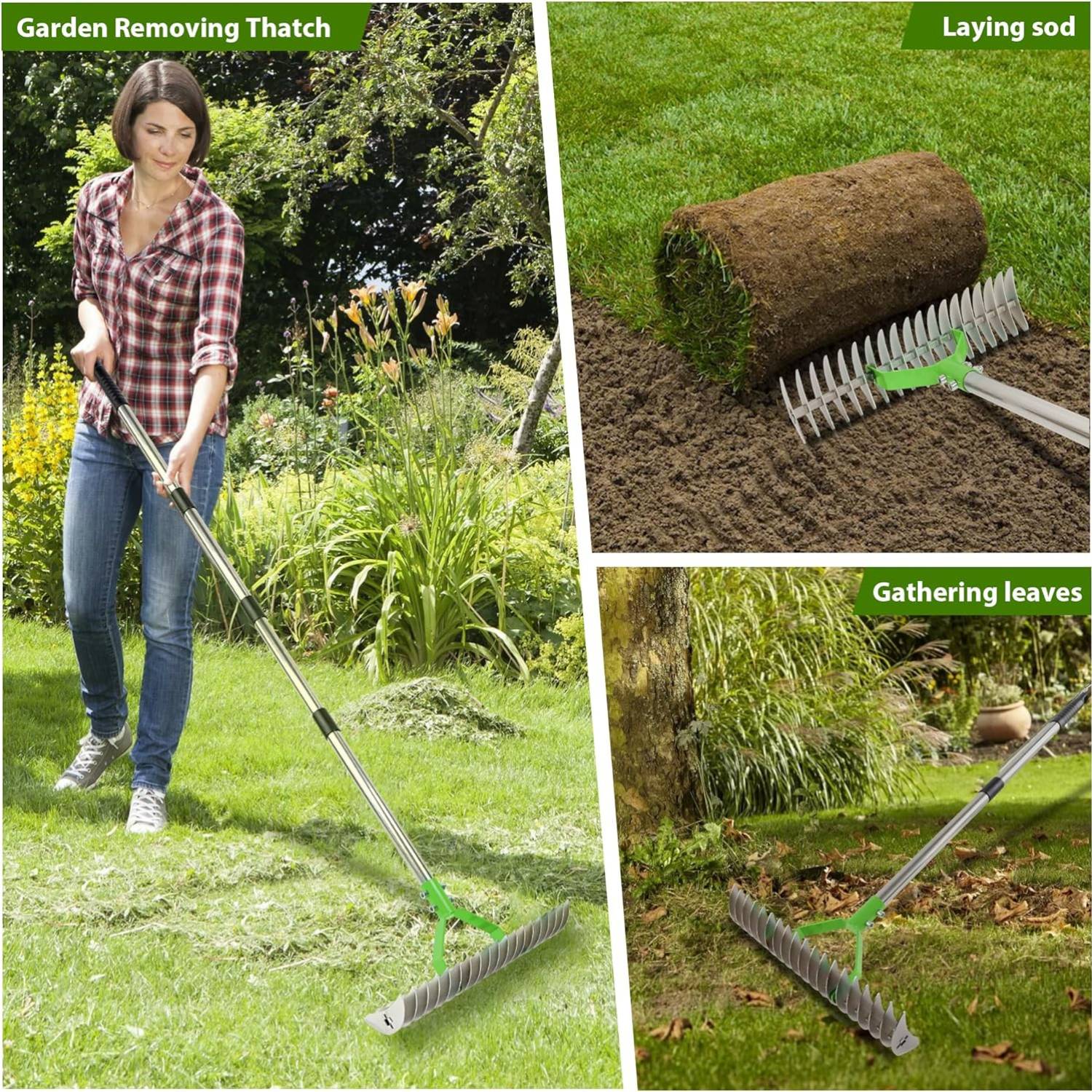 Grass dethatcher rake: image 7