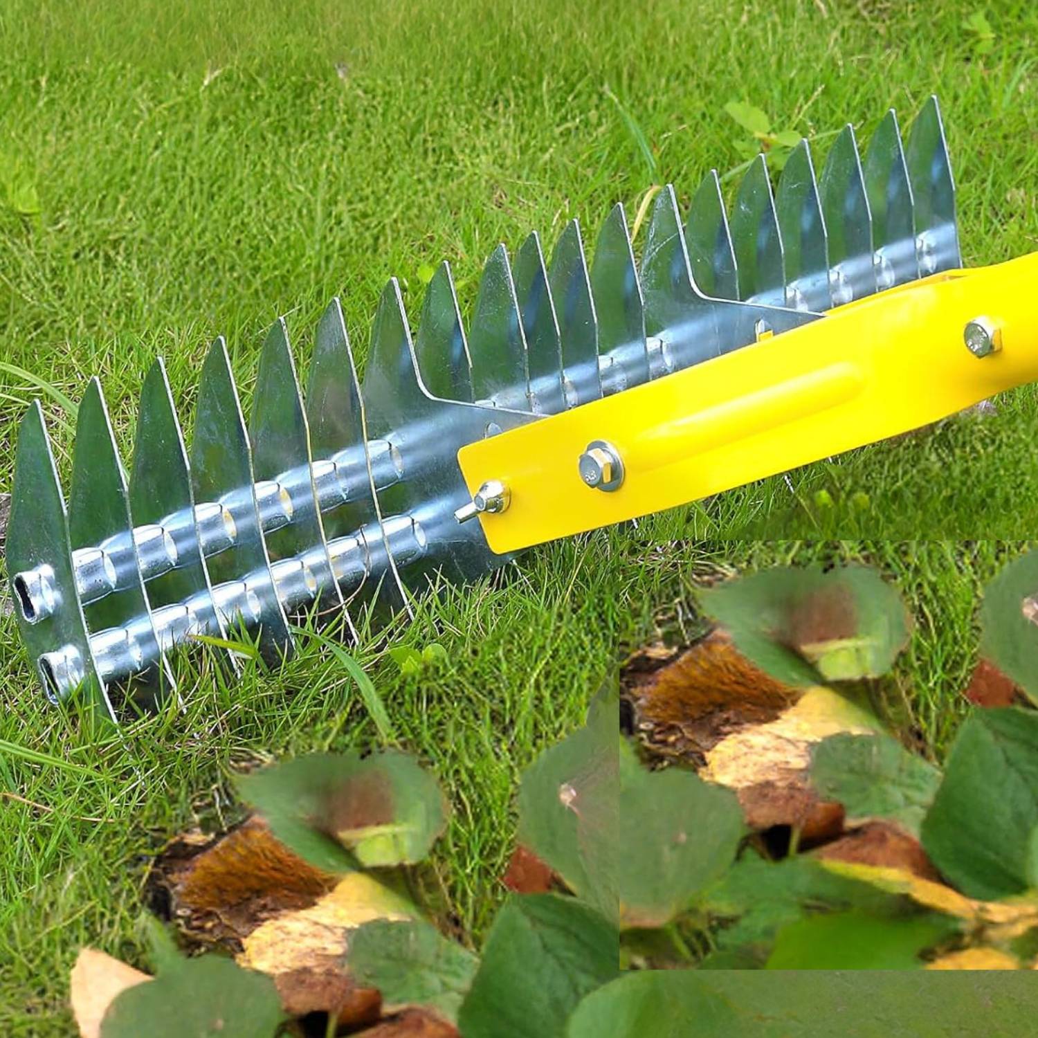 Grass dethatcher rake