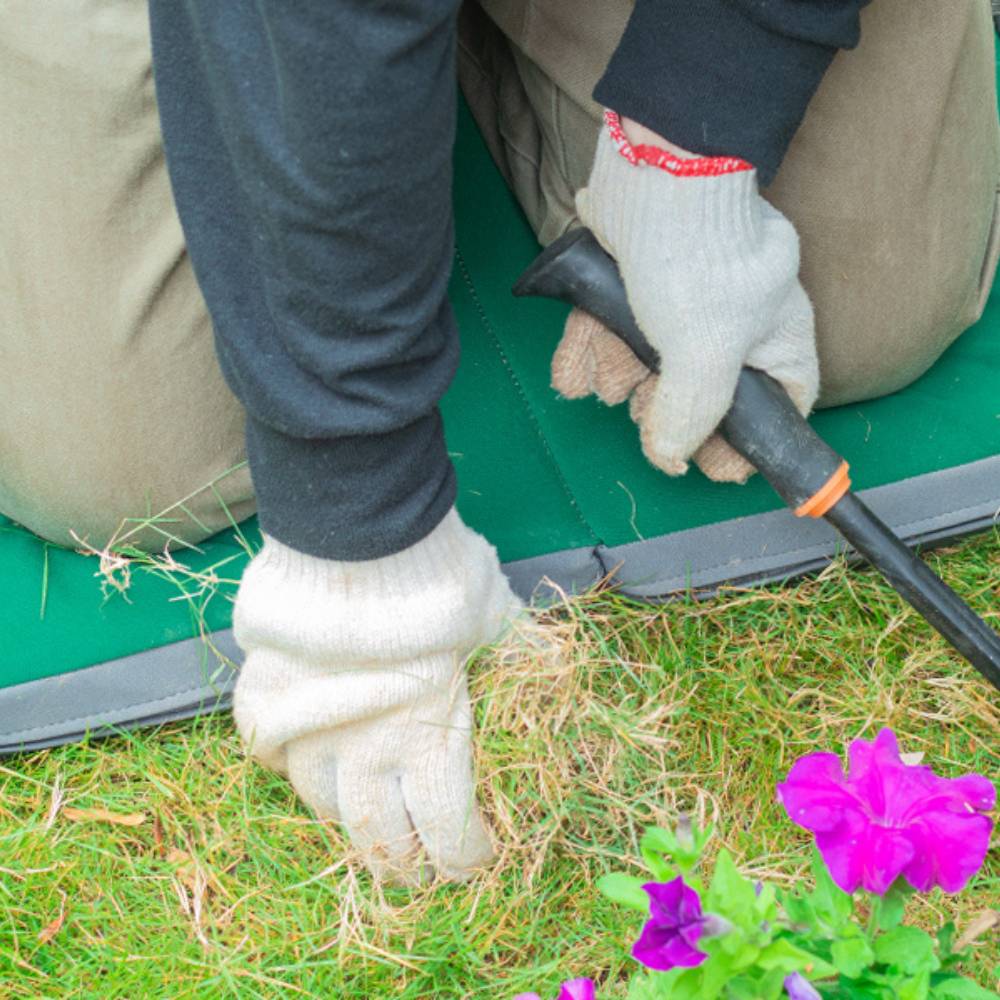 Garden kneeling pad