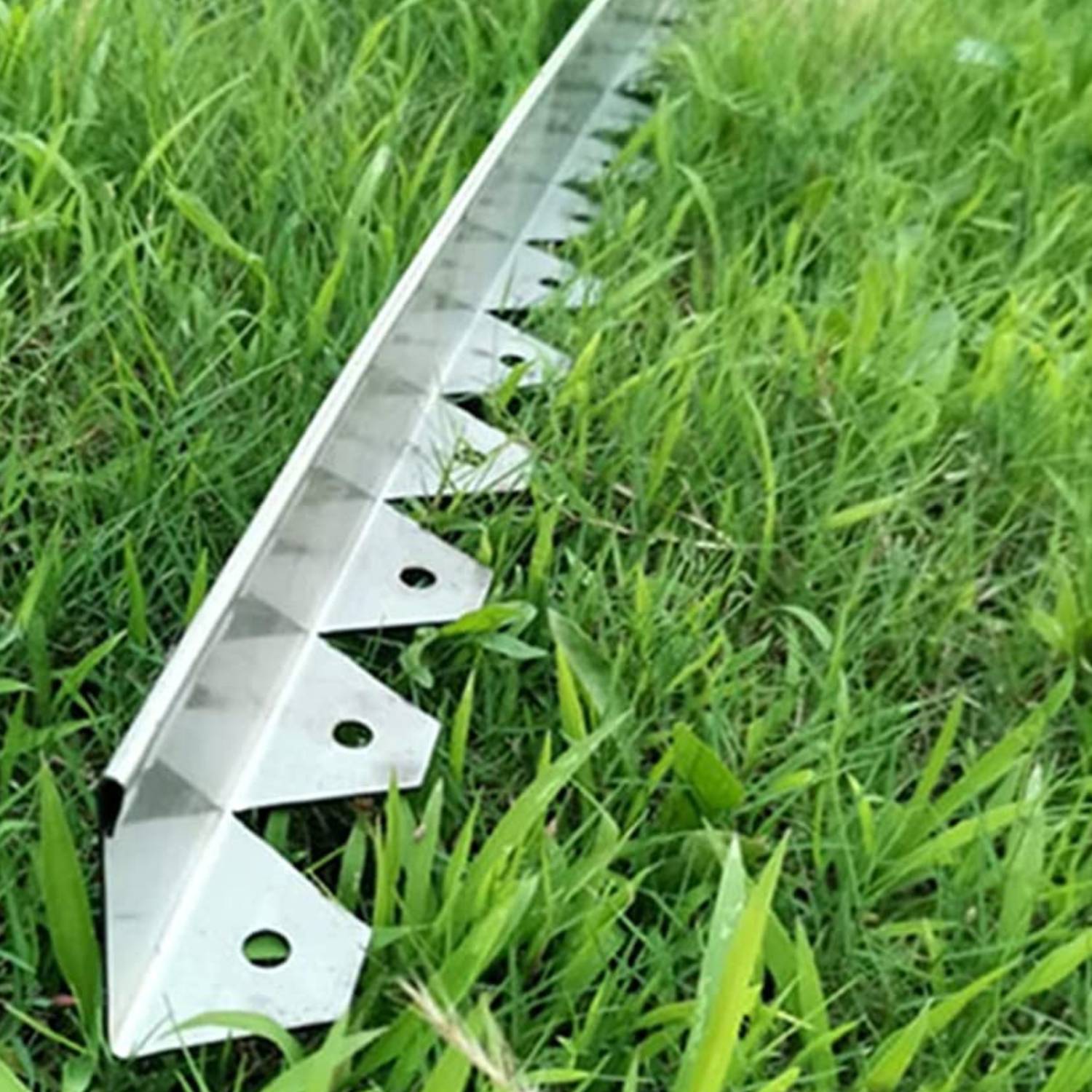 Stainless steel garden edging: image 4